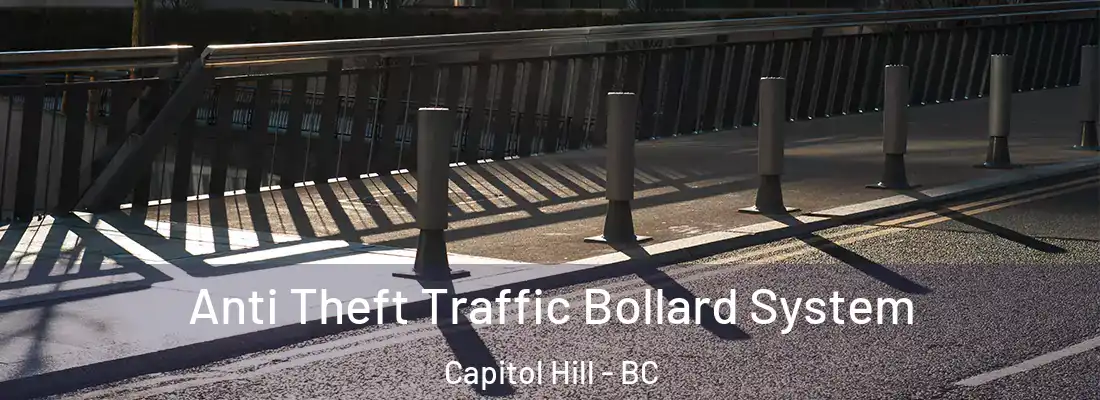  Anti Theft Traffic Bollard System Capitol Hill - BC
