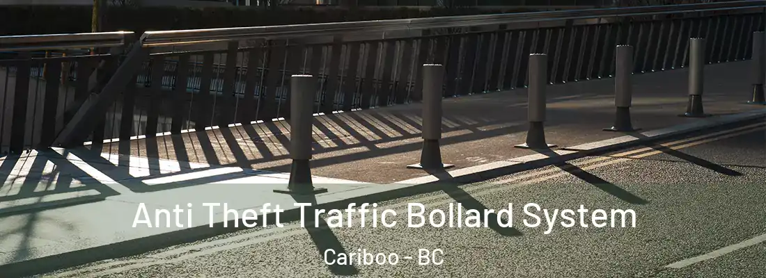  Anti Theft Traffic Bollard System Cariboo - BC