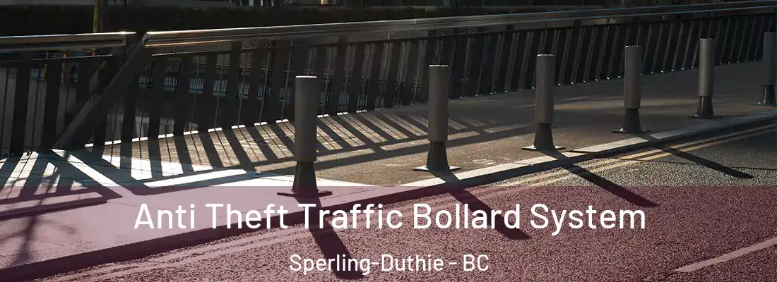  Anti Theft Traffic Bollard System Sperling-Duthie - BC