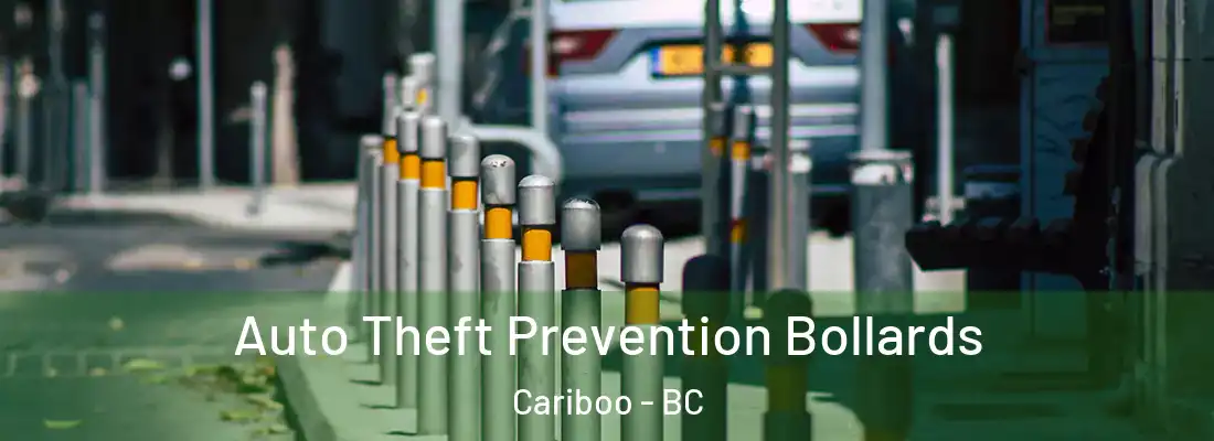  Auto Theft Prevention Bollards Cariboo - BC