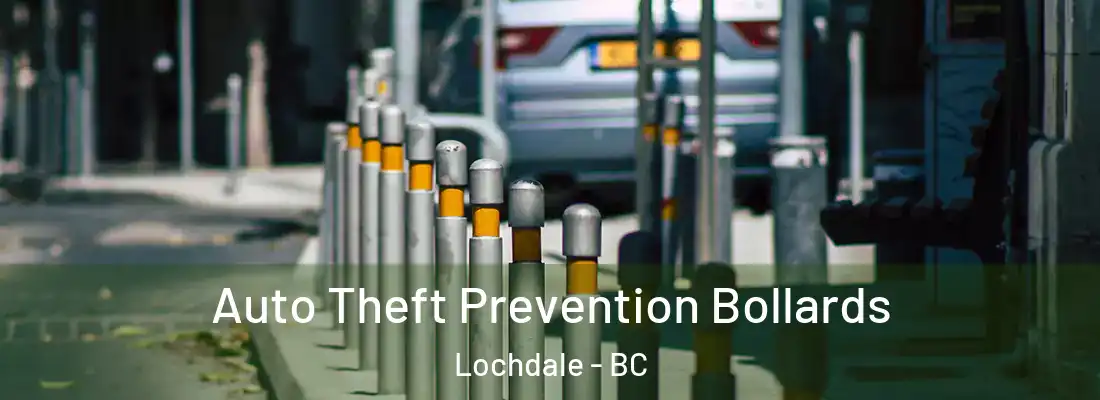  Auto Theft Prevention Bollards Lochdale - BC