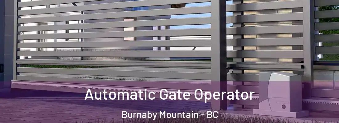  Automatic Gate Operator Burnaby Mountain - BC