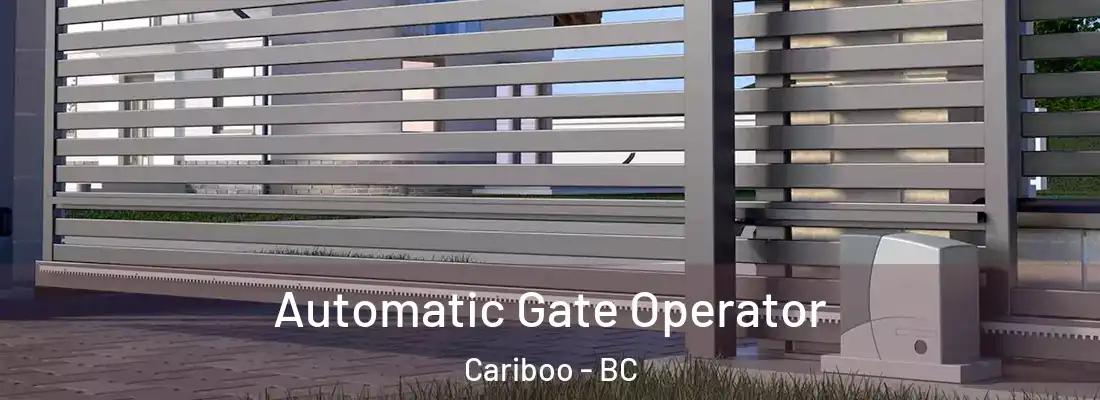  Automatic Gate Operator Cariboo - BC