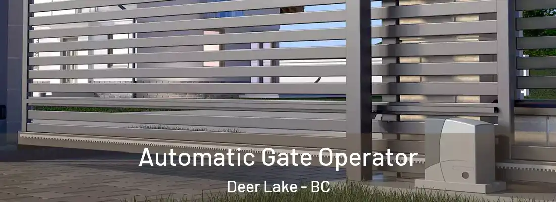  Automatic Gate Operator Deer Lake - BC