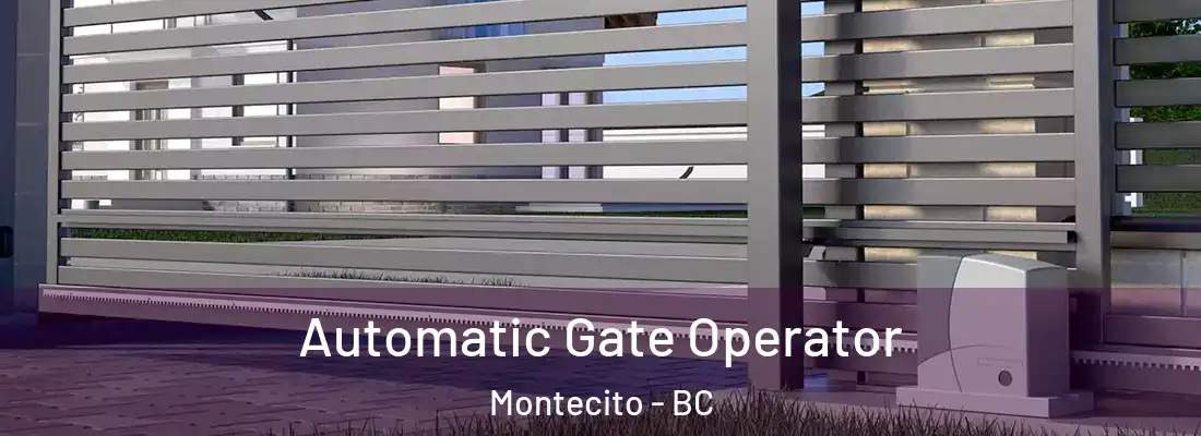  Automatic Gate Operator Montecito - BC
