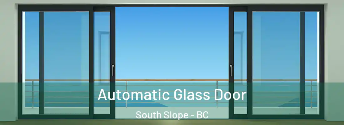  Automatic Glass Door South Slope - BC