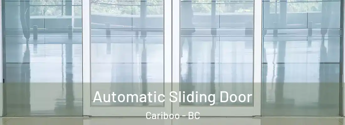  Automatic Sliding Door Cariboo - BC