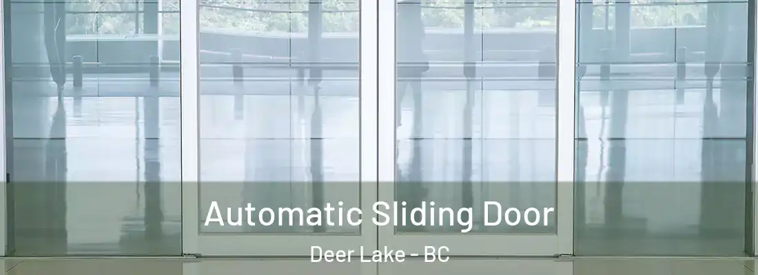  Automatic Sliding Door Deer Lake - BC