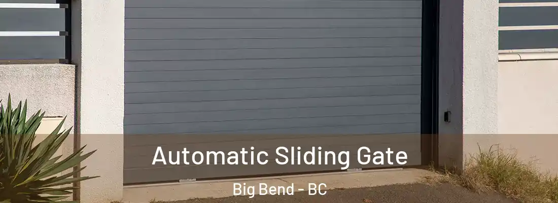  Automatic Sliding Gate Big Bend - BC