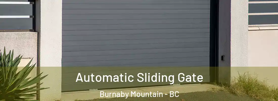  Automatic Sliding Gate Burnaby Mountain - BC