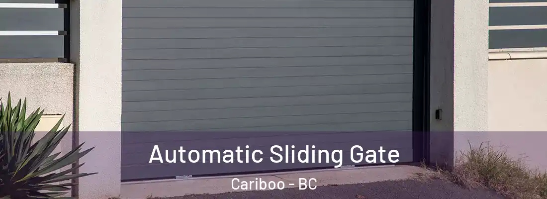  Automatic Sliding Gate Cariboo - BC