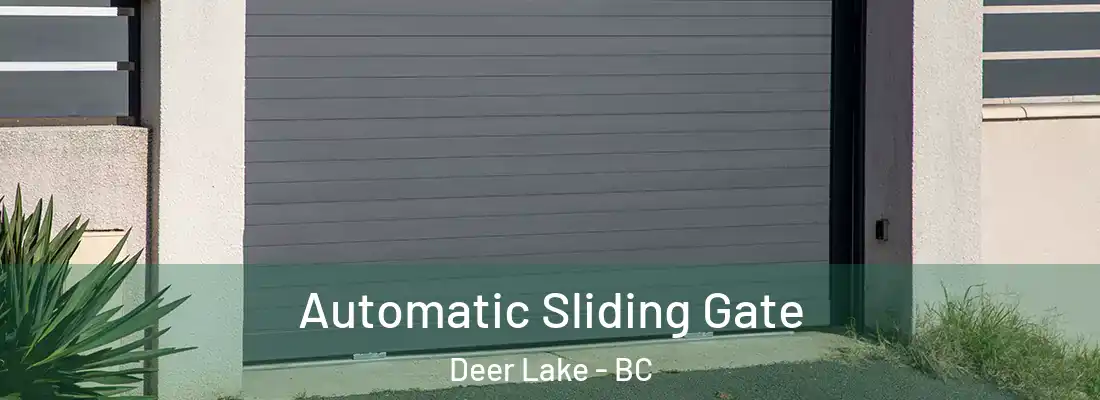  Automatic Sliding Gate Deer Lake - BC