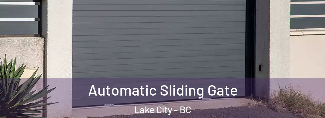  Automatic Sliding Gate Lake City - BC