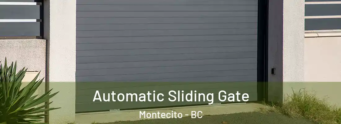  Automatic Sliding Gate Montecito - BC