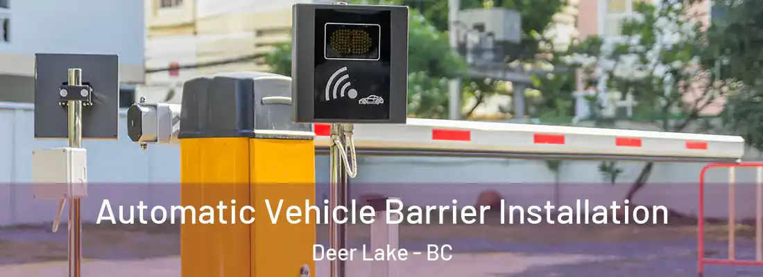  Automatic Vehicle Barrier Installation Deer Lake - BC