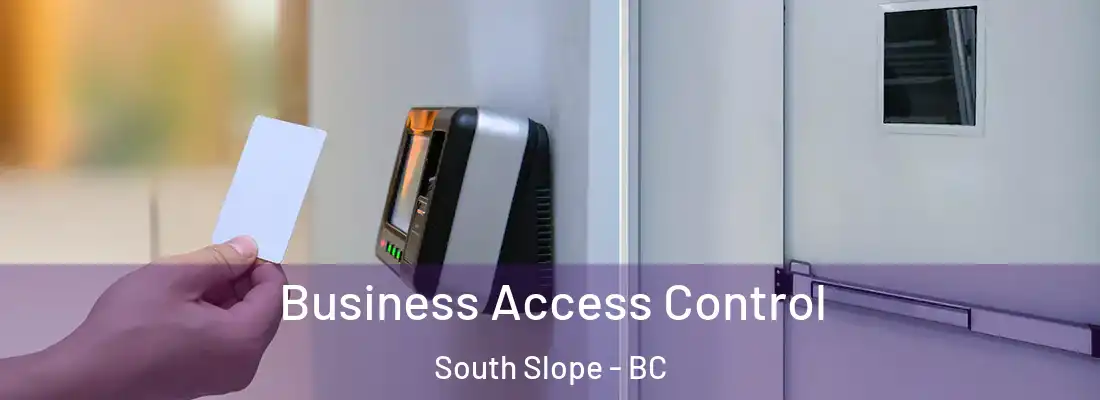  Business Access Control South Slope - BC