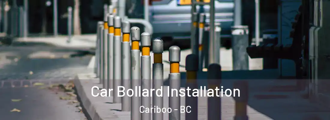  Car Bollard Installation Cariboo - BC