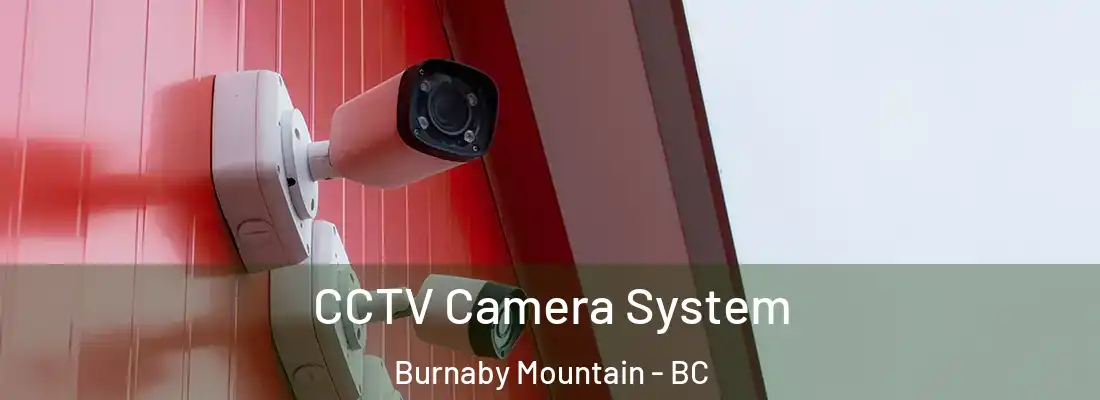  CCTV Camera System Burnaby Mountain - BC