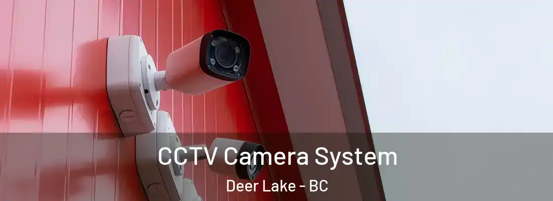 CCTV Camera System Deer Lake - BC