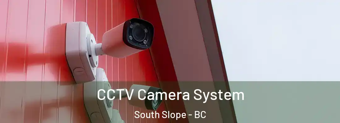  CCTV Camera System South Slope - BC