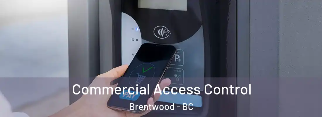  Commercial Access Control Brentwood - BC