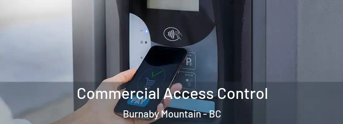  Commercial Access Control Burnaby Mountain - BC