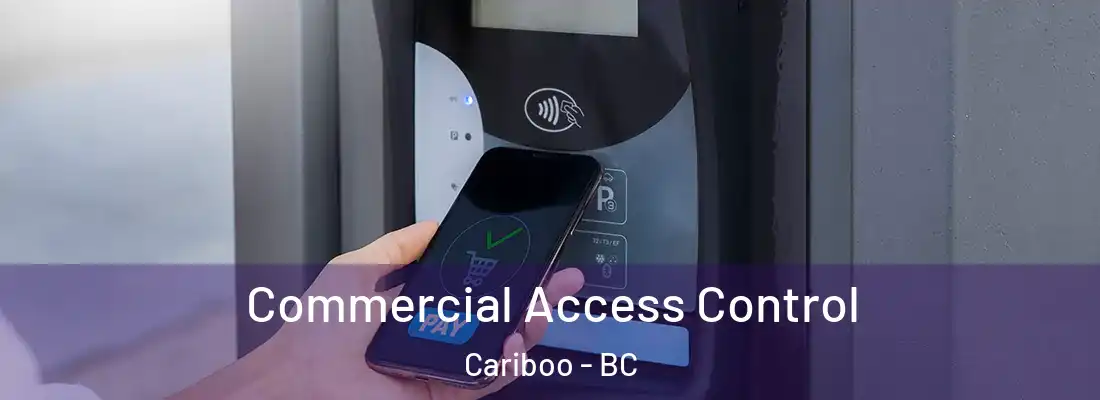  Commercial Access Control Cariboo - BC