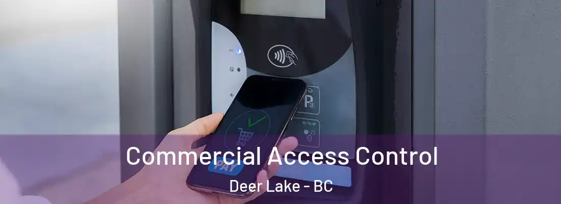  Commercial Access Control Deer Lake - BC