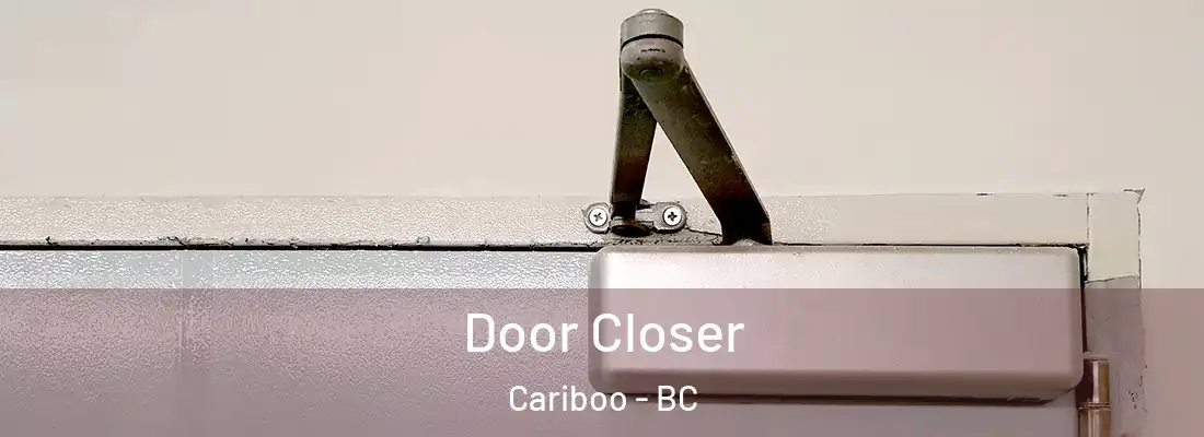  Door Closer Cariboo - BC
