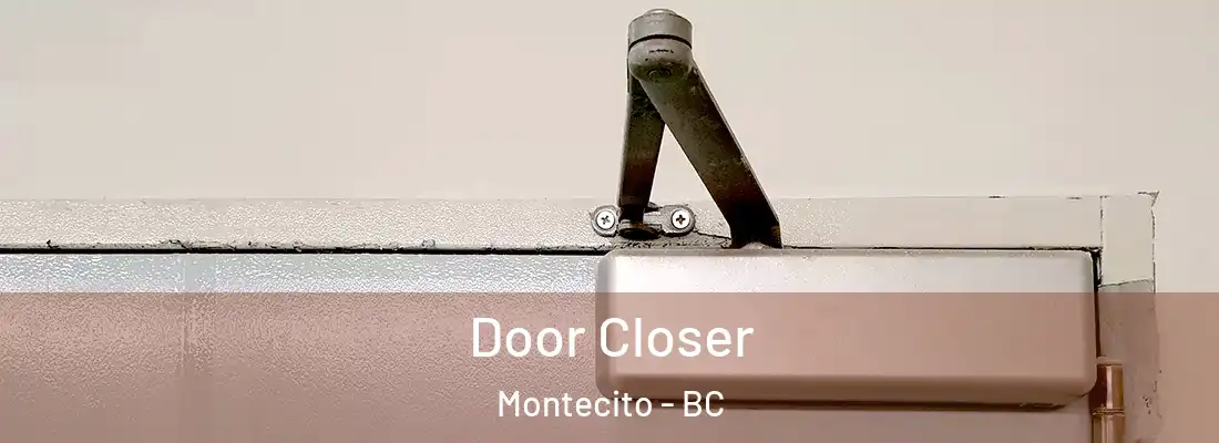  Door Closer Montecito - BC