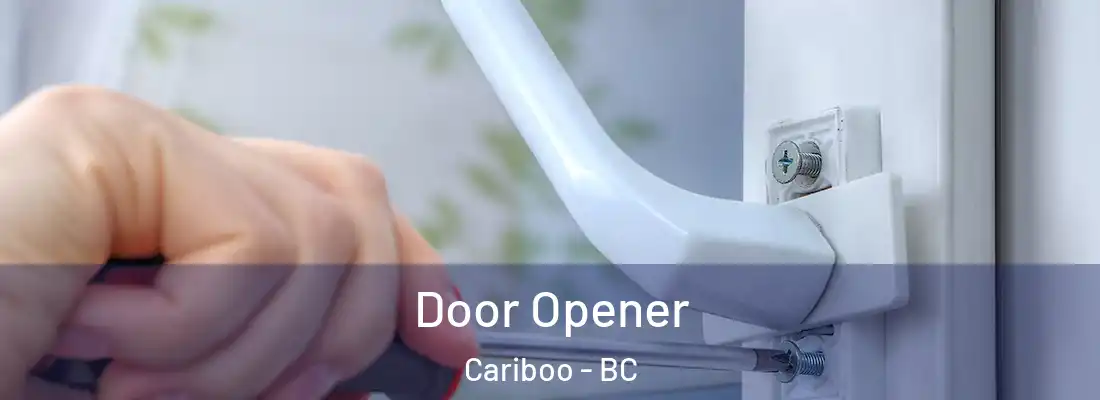  Door Opener Cariboo - BC