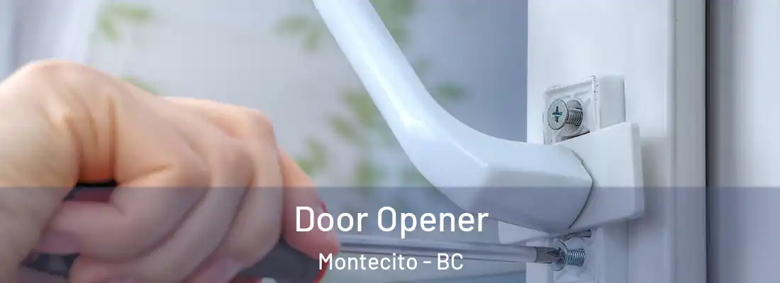  Door Opener Montecito - BC