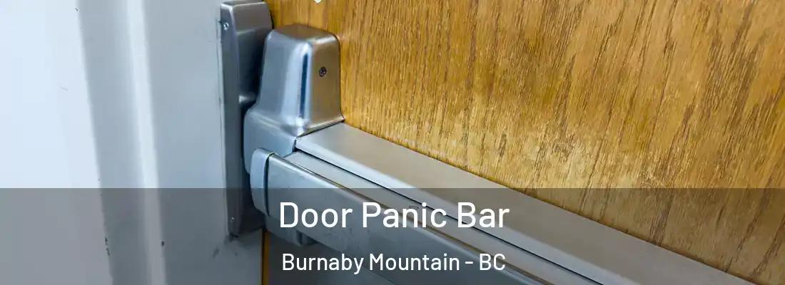  Door Panic Bar Burnaby Mountain - BC