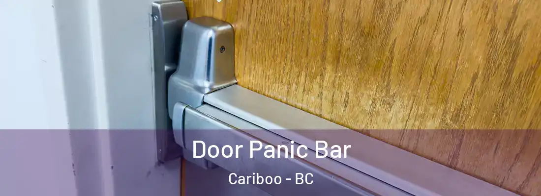  Door Panic Bar Cariboo - BC