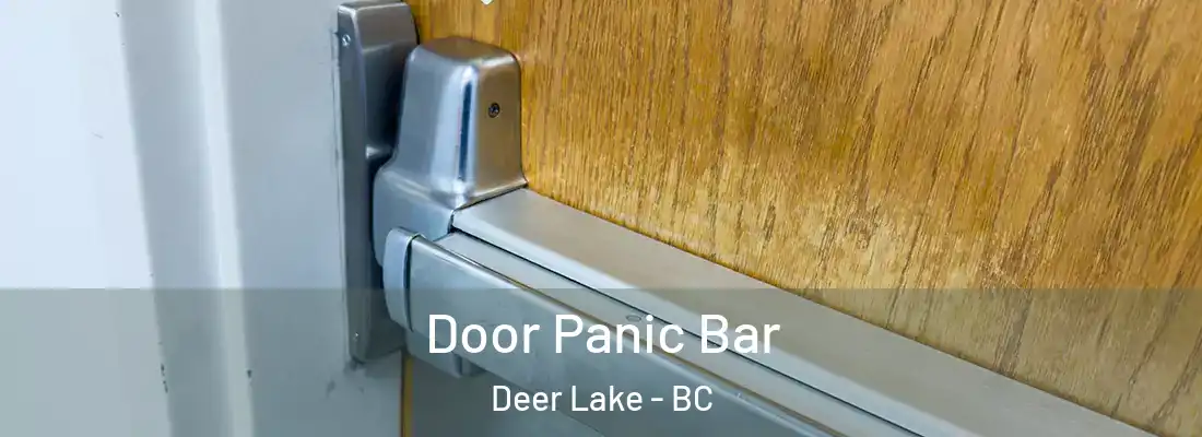  Door Panic Bar Deer Lake - BC