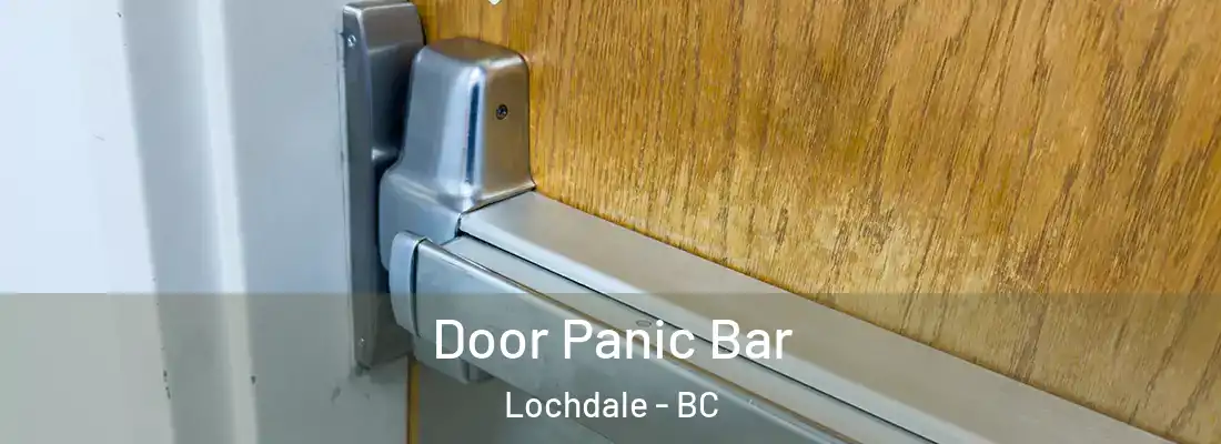  Door Panic Bar Lochdale - BC