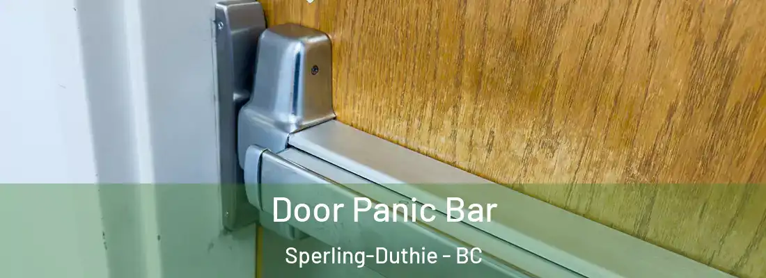  Door Panic Bar Sperling-Duthie - BC