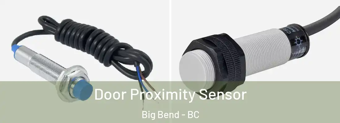  Door Proximity Sensor Big Bend - BC