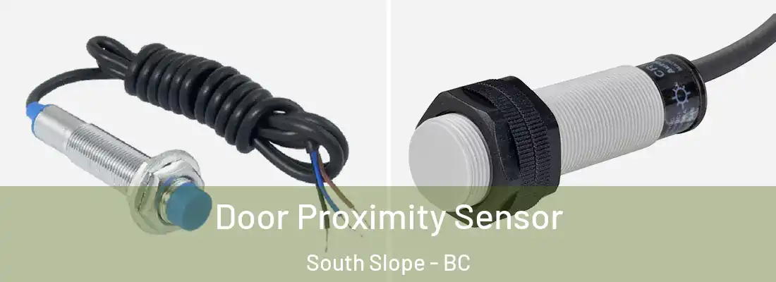  Door Proximity Sensor South Slope - BC