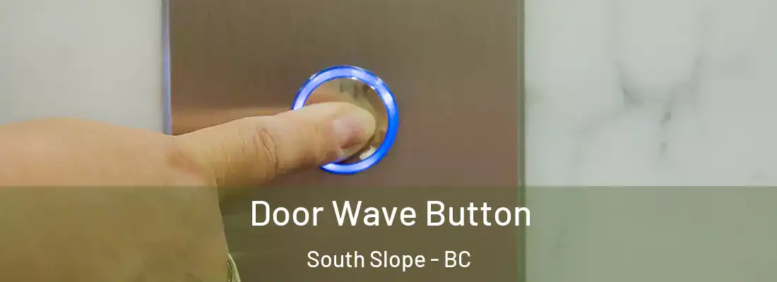  Door Wave Button South Slope - BC