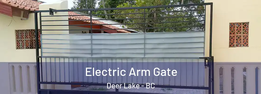  Electric Arm Gate Deer Lake - BC