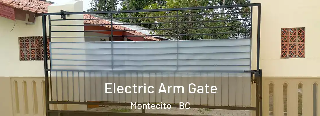  Electric Arm Gate Montecito - BC
