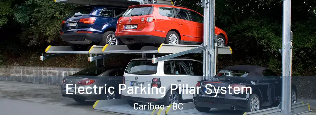  Electric Parking Pillar System Cariboo - BC