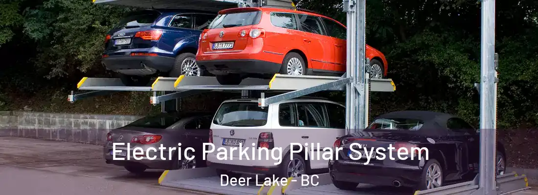  Electric Parking Pillar System Deer Lake - BC