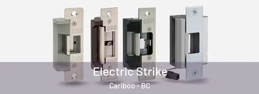  Electric Strike Cariboo - BC