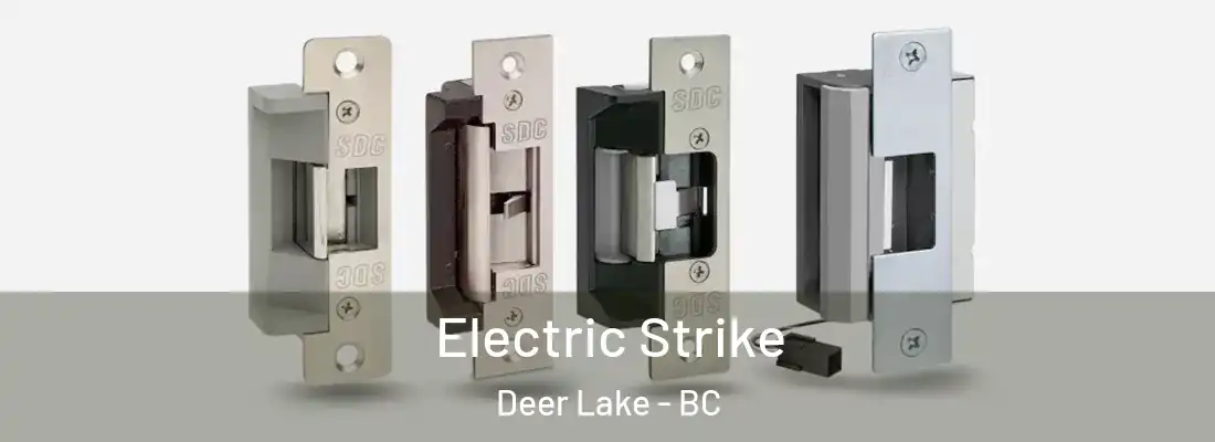  Electric Strike Deer Lake - BC