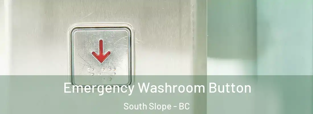  Emergency Washroom Button South Slope - BC