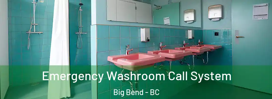  Emergency Washroom Call System Big Bend - BC
