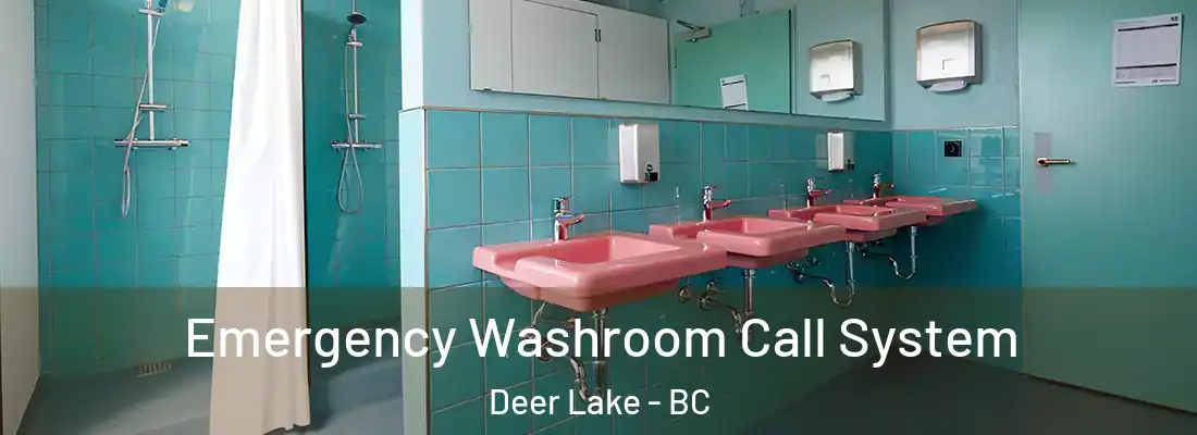  Emergency Washroom Call System Deer Lake - BC