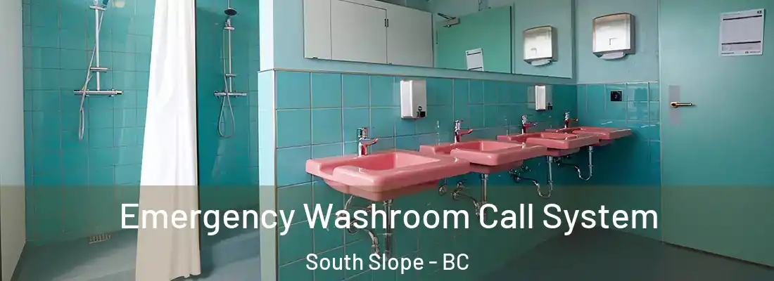  Emergency Washroom Call System South Slope - BC